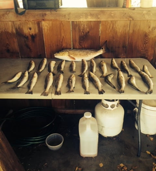 Fishing bliss in St. Bernard’s bay!